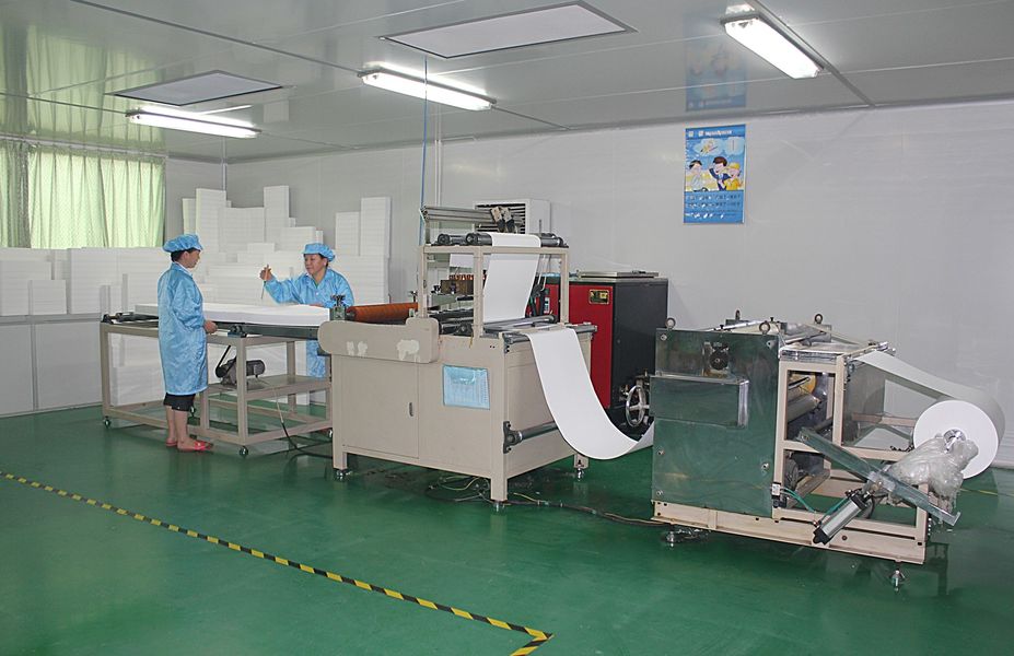 China Dongguan Ivy Purification Technology Co., Ltd. 